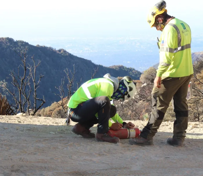 Rolling Green Tree Care,