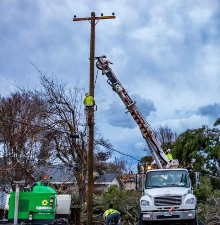 Rolling Green Inc, Rolling Green, Complete Tree Removal & Stump Grinding