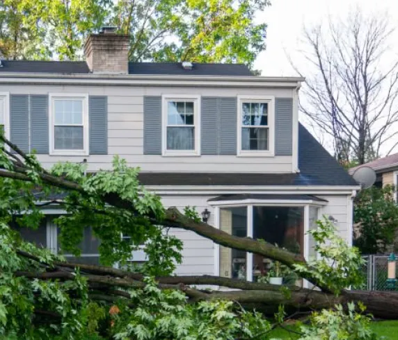 Rolling Green Inc, Rolling Green, Emergency & Storm Damage Tree Removal