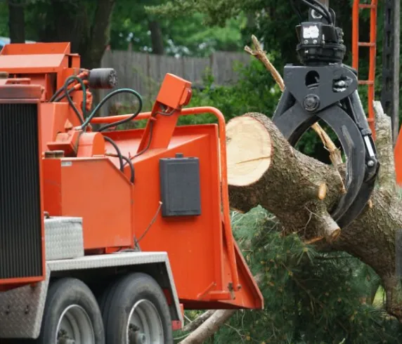 Rolling Green Inc, Rolling Green, Defensible Space & Land Clearing