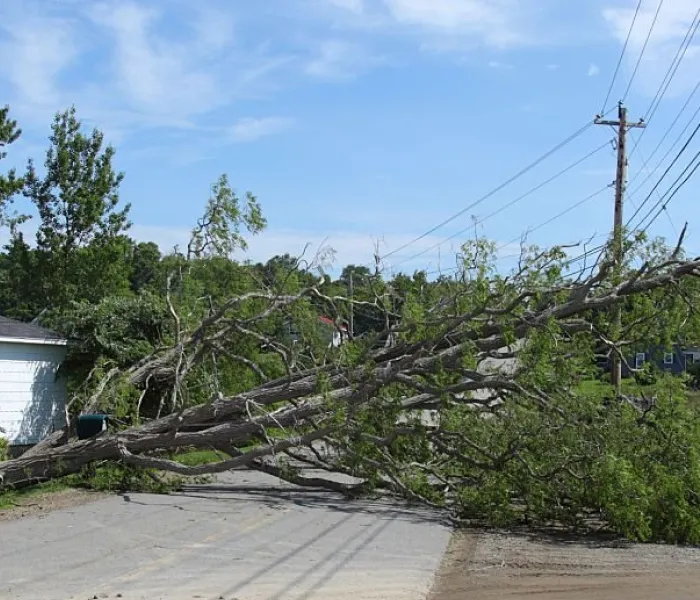 Rolling Green Inc, Rolling Green, Emergency & Storm Damage Tree Removal