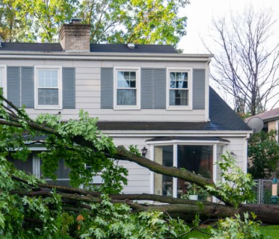 Storm damage cleanup crew removing fallen trees from a residential yard.