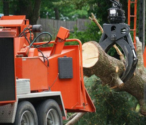 Post-storm land clearing to remove hazardous trees and debris.