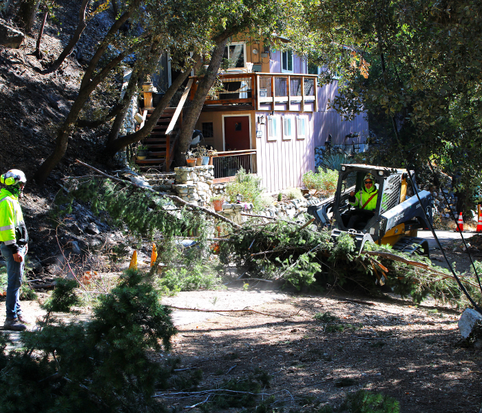 Rolling Green Emergency & Storm Damage Tree Removal