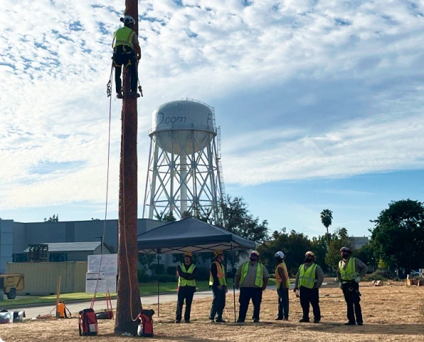 Tree climbing training session for tree care specialists with a focus on safety and technique.