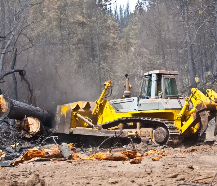 bulldozer logging