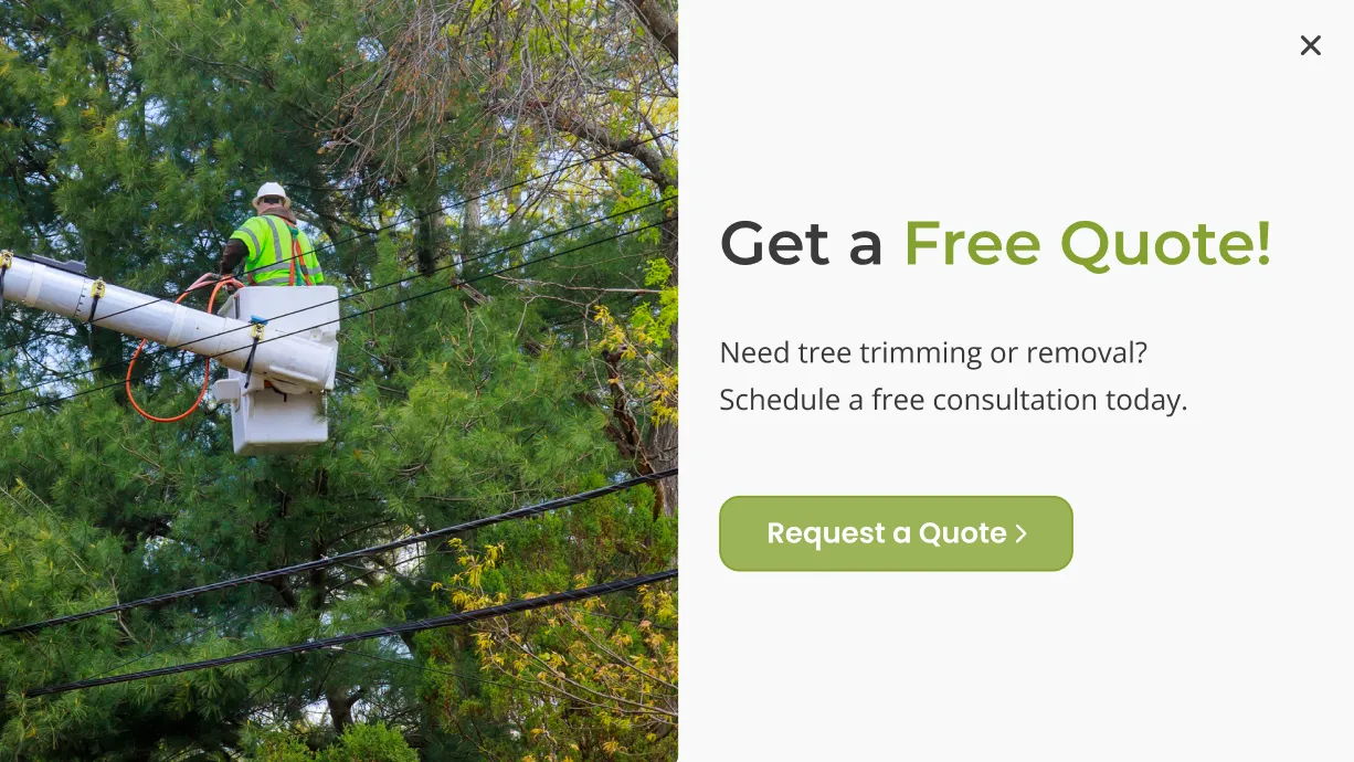 tree_service_quote