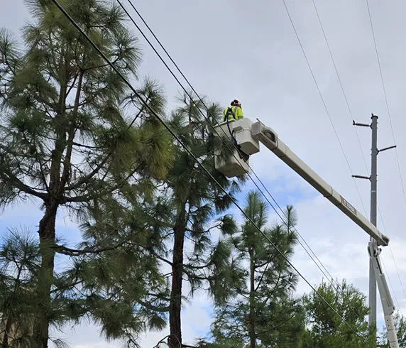 bucket_truck_powerlines bucket_truck_powerlines