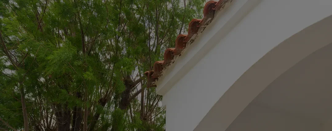 Things You Need to Consider When Choosing a Tree Service Company