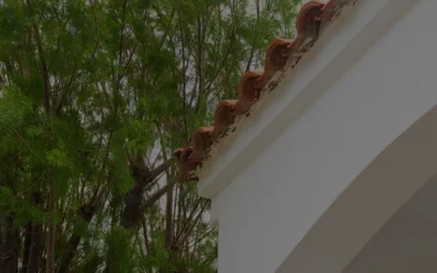 Things You Need to Consider When Choosing a Tree Service Company