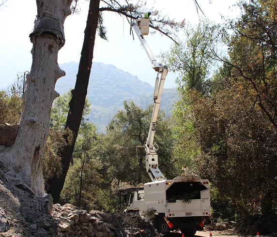 tree_trimming_bucket_truck tree_trimming_bucket_truck
