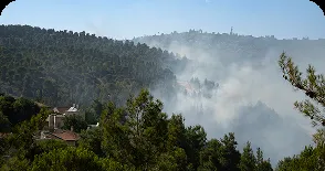 forest_fire_smoke