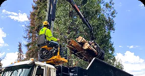 tree_loading_crane