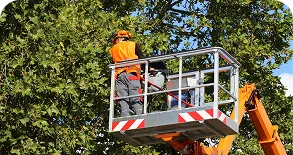 tree-trimming-lift